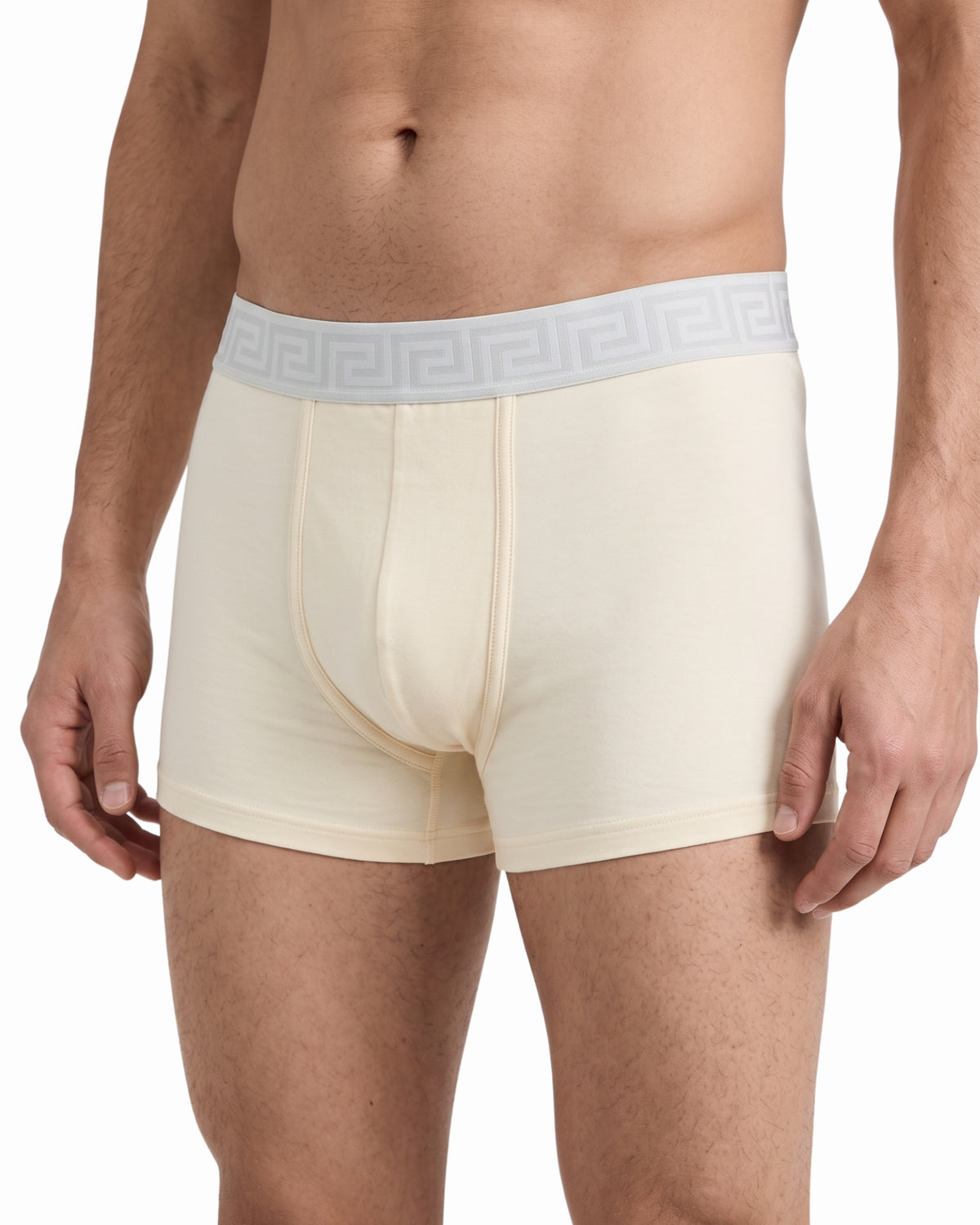 Goodbye Odor: The Ultimate Breathable Men’s Trunks with N9 Pack of 6 Underwears