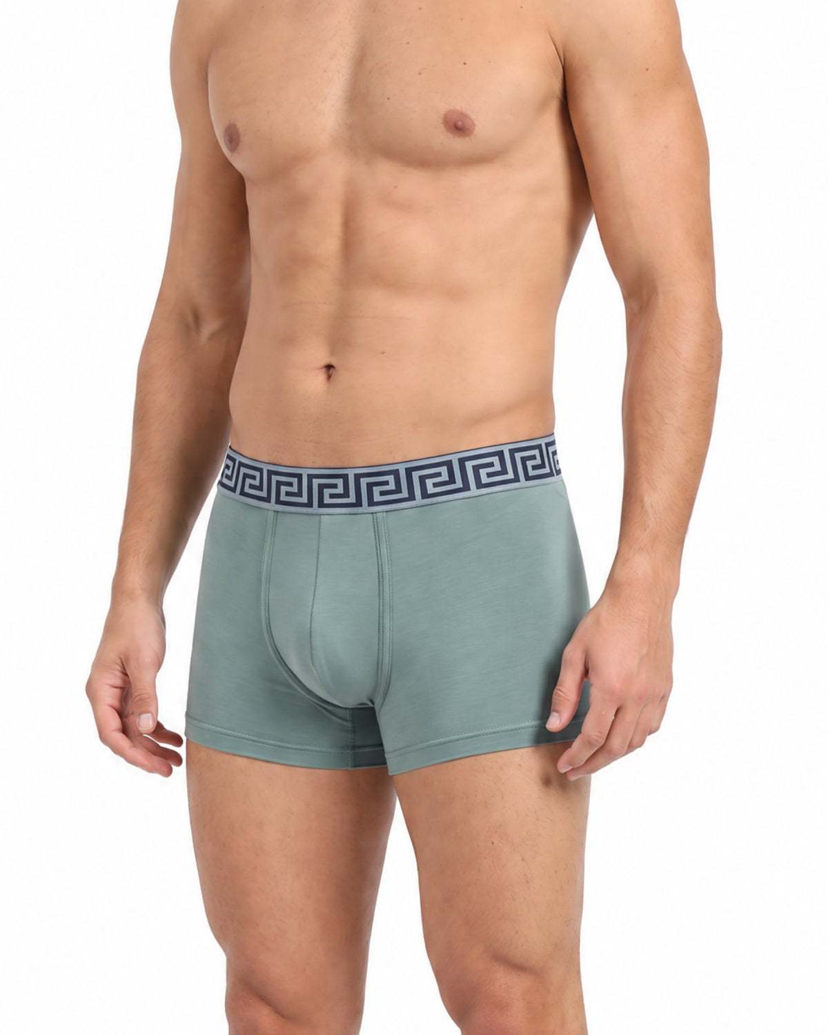 Goodbye Odor: The Ultimate Breathable Men’s Trunks with N9 Pack of 6 Underwears