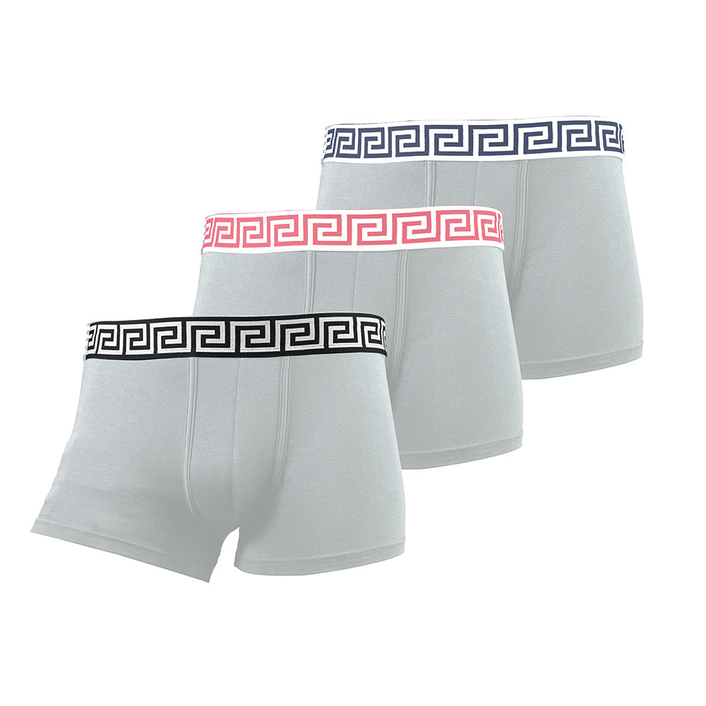 Everyday Elegance Men's Underwear Pack of 3 – Soft Cotton Boxer Briefs