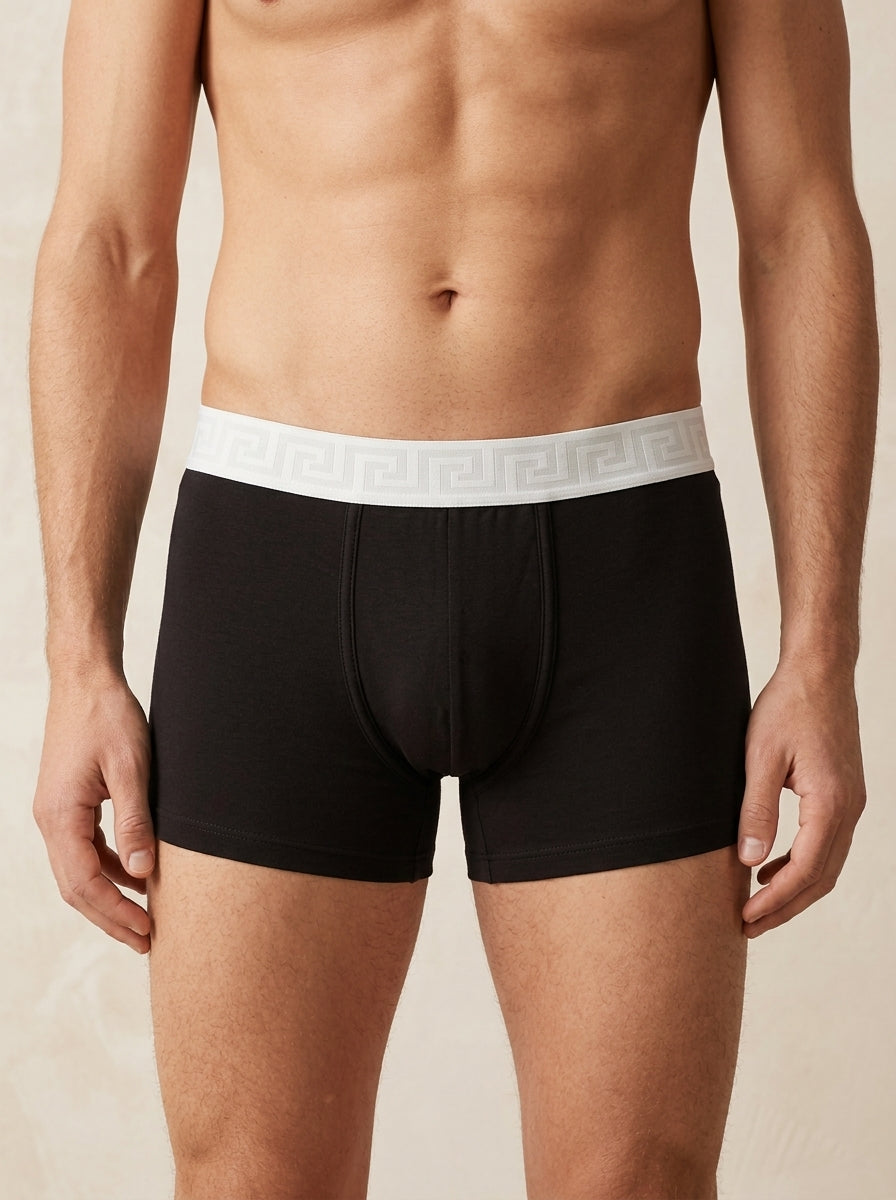Geometric Luxe Comfort" Men's Trunks (Pack of 3) Green N9 Treated