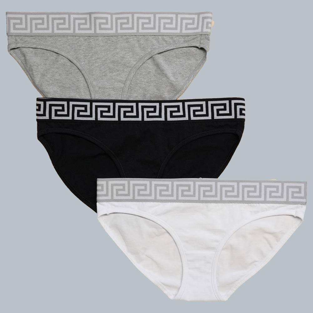 Comfortable Cotton Women's Underwear Pack – Breathable, Moisture-Wicking Panties